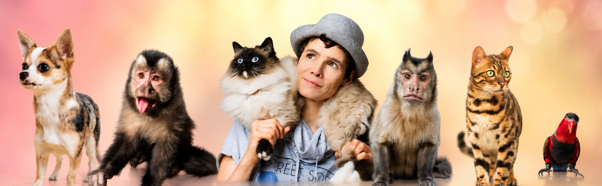 Nicolle's World – Tierisch gut im Wandel